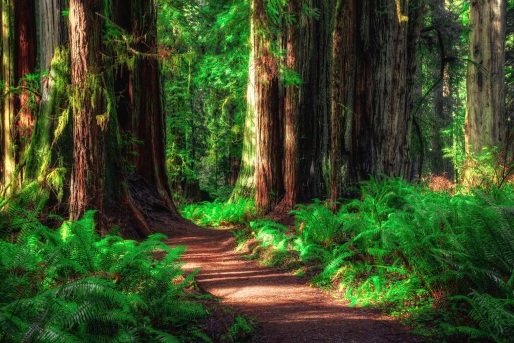 Bear Mountain - Suite 6 Ґрантс-Пасс Екстер'єр фото